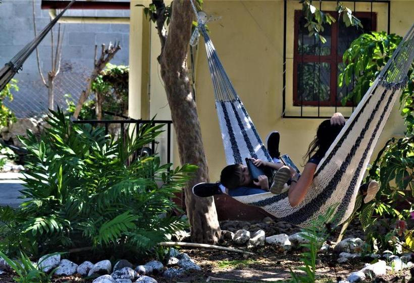 Hostal Dulces Sueños Hostel