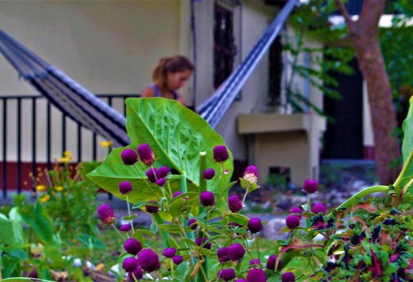 Hostal Dulces Sueños Hostel