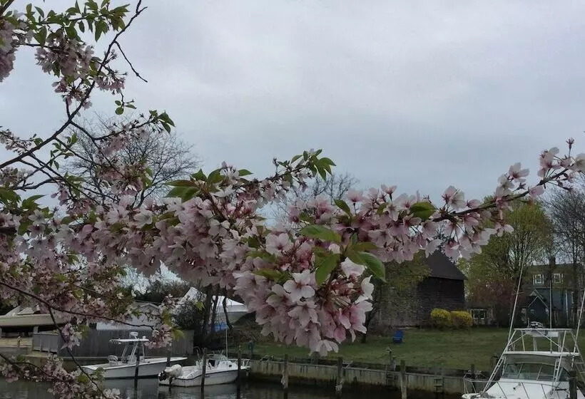 ベッドアンドブレックファースト The Ocean Bay House