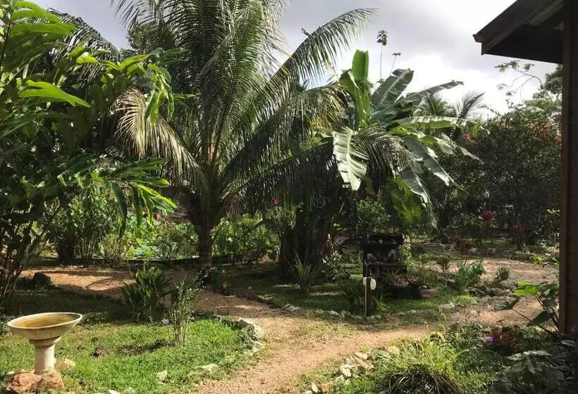 Lomakeskus Sattva Land