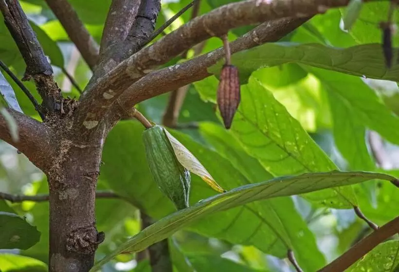 Lomakeskus Sattva Land