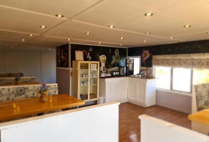 Bed & Breakfast Arte Brisa Hostal Boutique