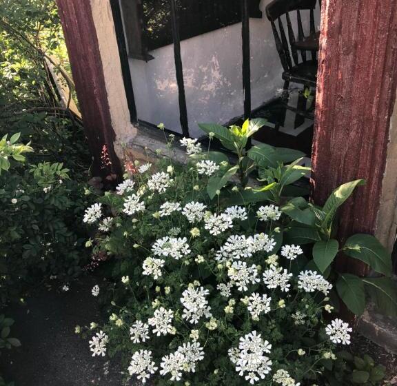 צימר Dreamton Village