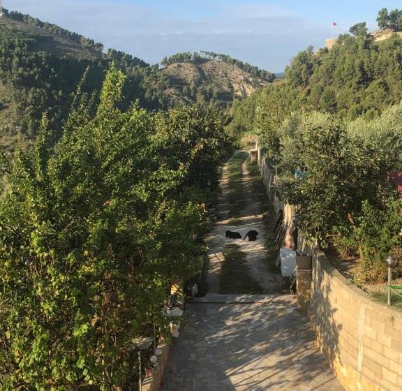 住宿加早餐 Guest House Xhuljon