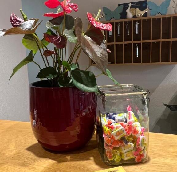 Albergue Gästehaus Kretschmannshof