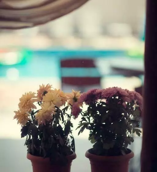 تختخواب و صبحانه Pawlonia Villa Kvareli
