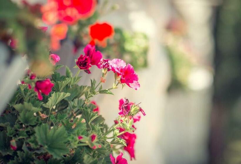 تختخواب و صبحانه Pawlonia Villa Kvareli