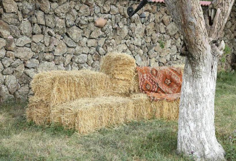 Pensão Garni Hinyard