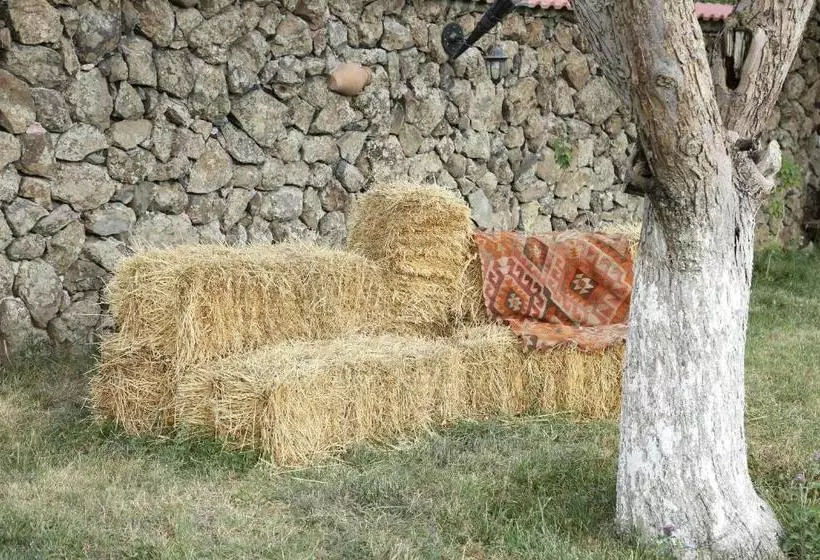 ペンション Garni Hinyard