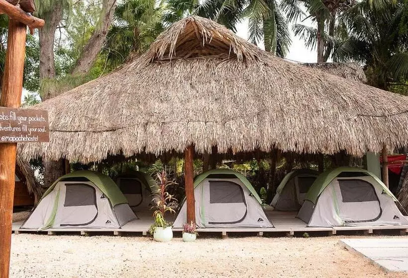 Pension Mapache Hostel & Camping
