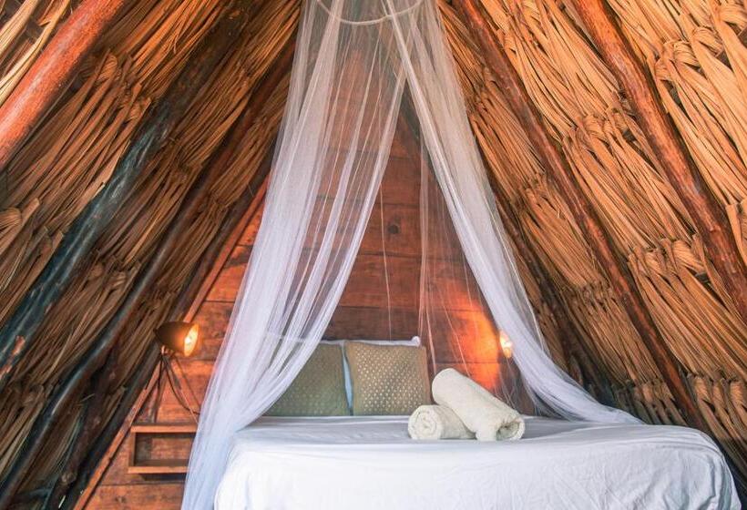 پانسیون Mapache Hostel & Camping