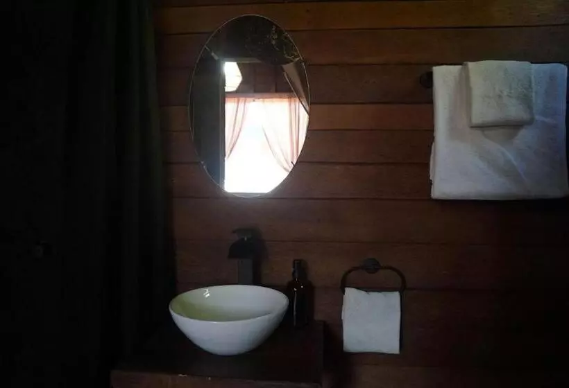 Pension Mapache Hostel & Camping