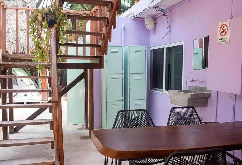 Pension Mapache Hostel & Camping