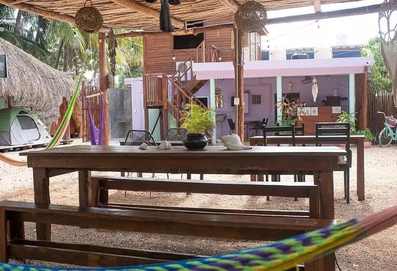 Pension Mapache Hostel & Camping