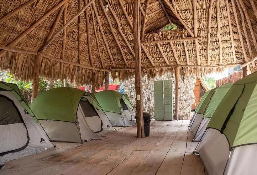 Pension Mapache Hostel & Camping