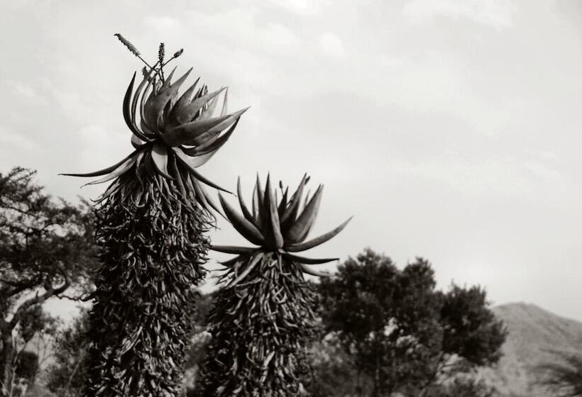 פנסיון Twin Thorns Guesthouse