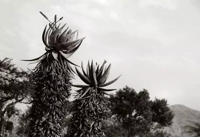 Majatalo Twin Thorns Guesthouse