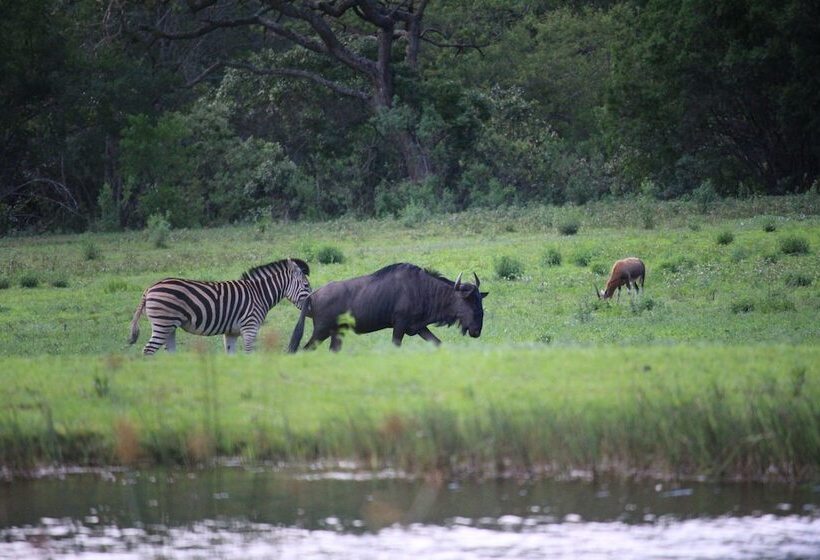 פנסיון Twin Thorns Guesthouse