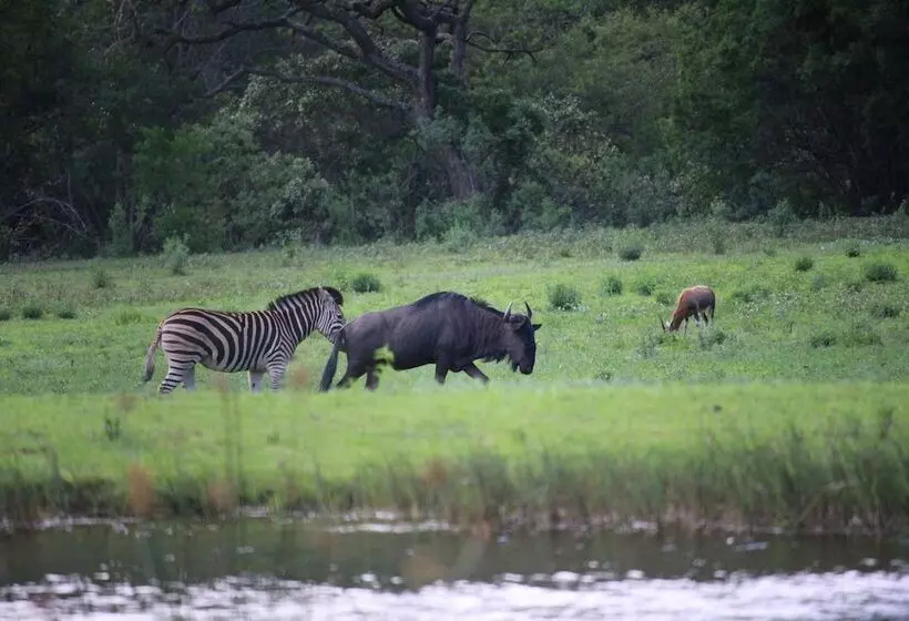 Majatalo Twin Thorns Guesthouse