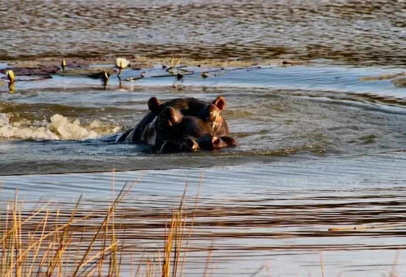 Majatalo Twin Thorns Guesthouse