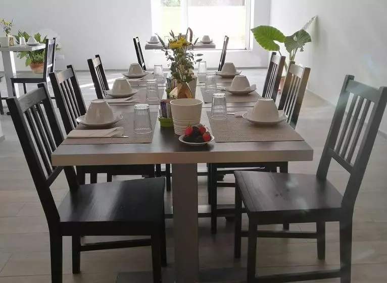 B&b Verdeoliva