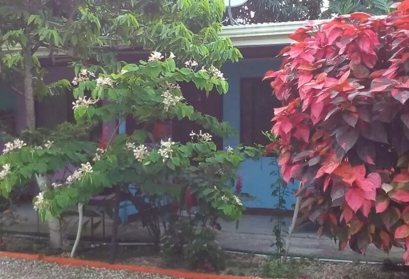 ホテル Cabinas Surf Side