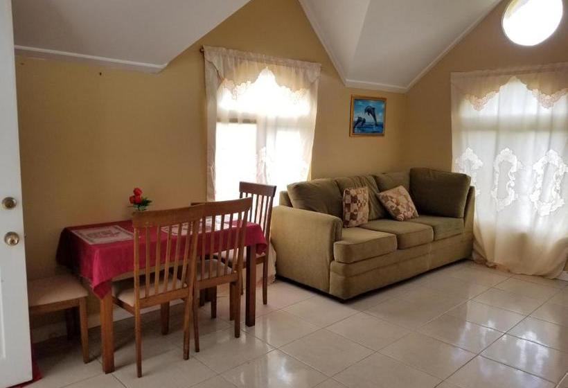 هتل Candy S Palace