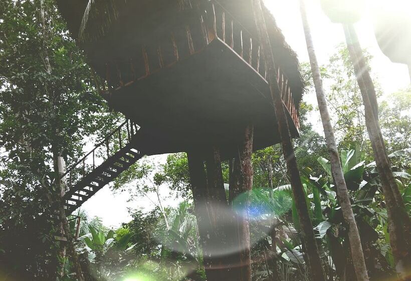 ホテル Pulmon Del Mundo