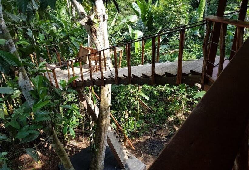 ホテル Pulmon Del Mundo