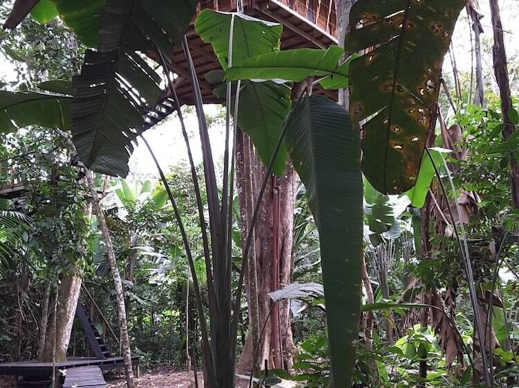 ホテル Pulmon Del Mundo