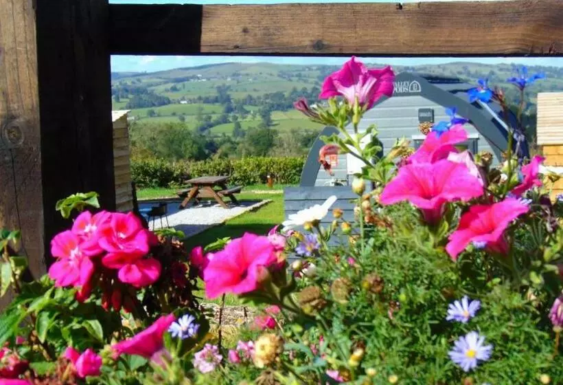 Aamiaismajoitus (B&B) Greendale View