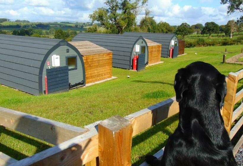 Bed and Breakfast Greendale View