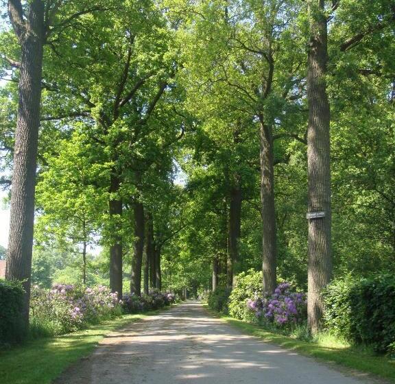 هتل Bossenstein Golf & Polo Club