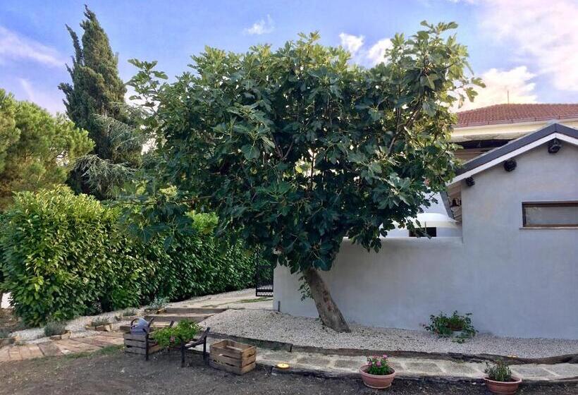 Bed and Breakfast C'era Una Volta Podere San Giovanni