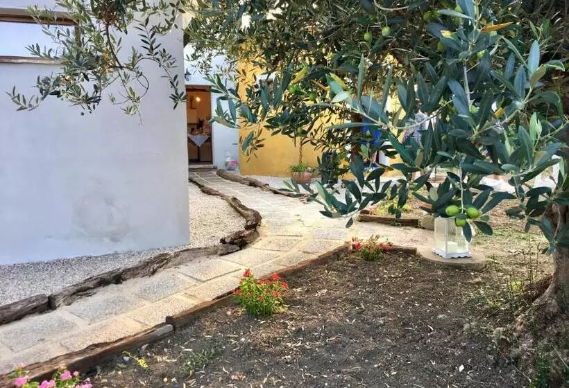 Aamiaismajoitus (B&B) C'era Una Volta Podere San Giovanni