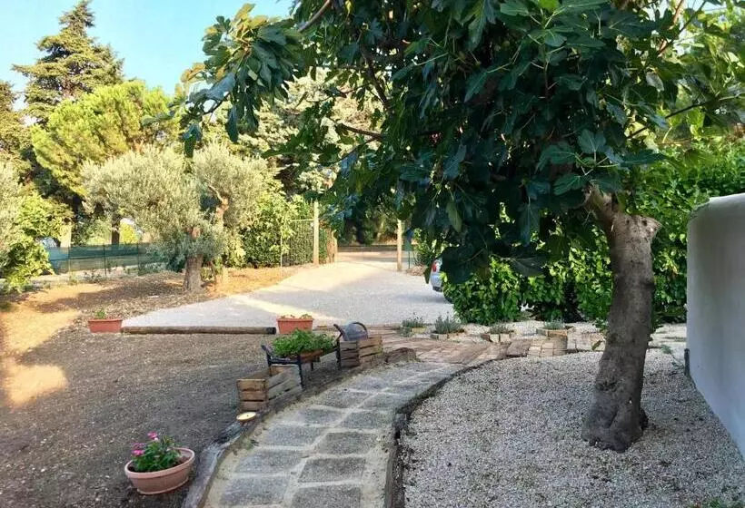 Aamiaismajoitus (B&B) C'era Una Volta Podere San Giovanni