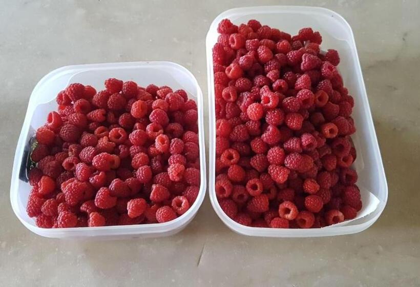 هتل Agriturismo Villa Cavallini