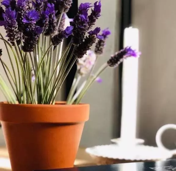 Livingwaters Self Catering Accommodation