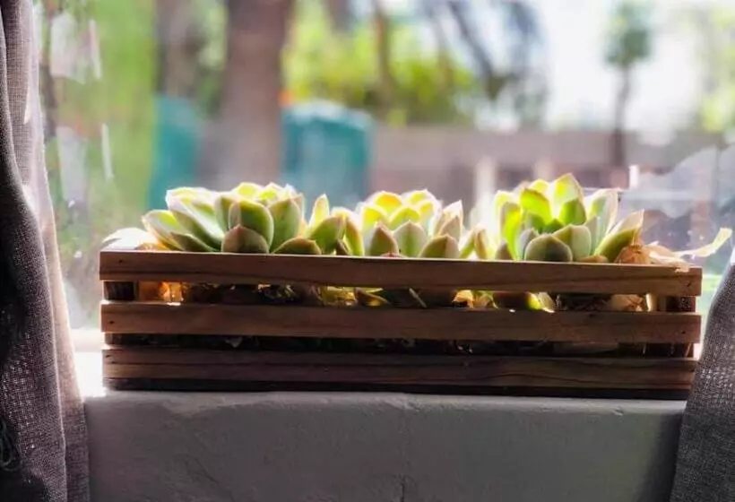 Livingwaters Self Catering Accommodation