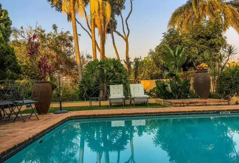 پانسیون Damicha Boutique Lodge