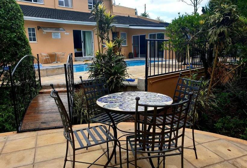 پانسیون Damicha Boutique Lodge