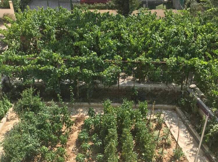 펜션 Bujtina Flowers