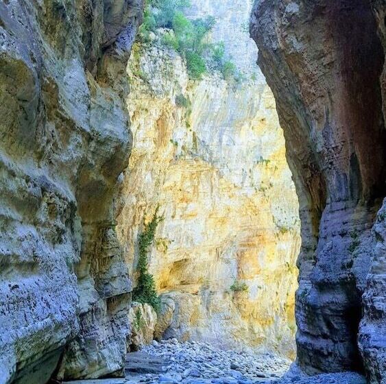 펜션 Bujtina Flowers