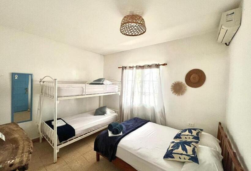 הוסטל Casa Greca