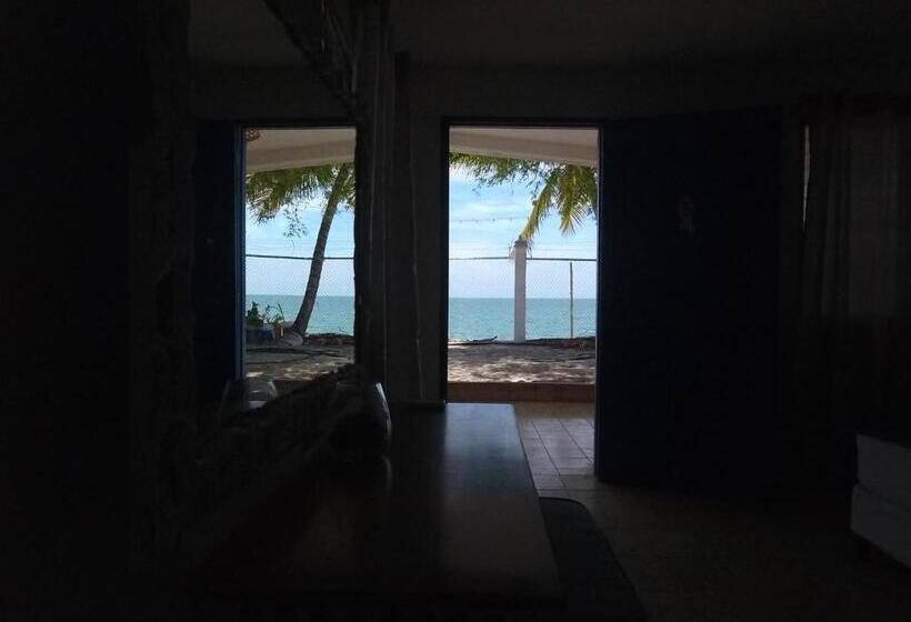 הוסטל Casa Greca