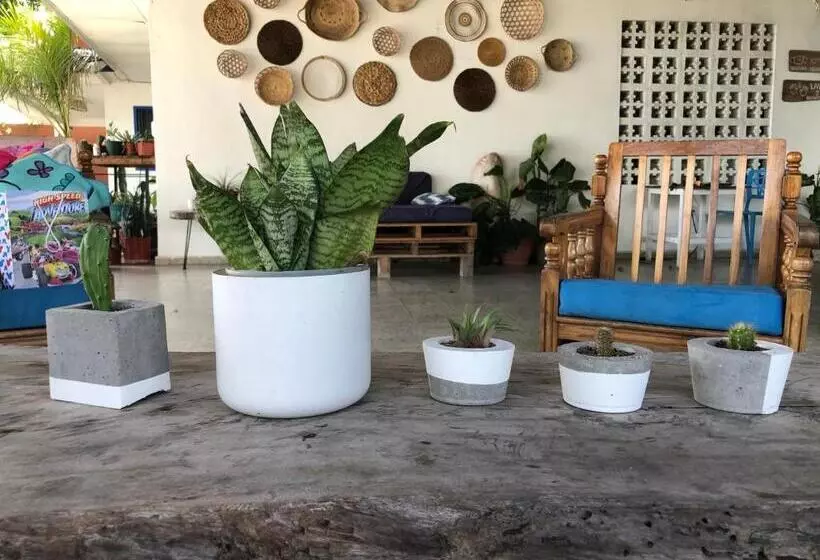 Retkeilymaja Casa Greca