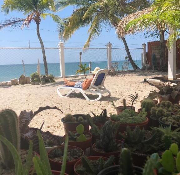 הוסטל Casa Greca