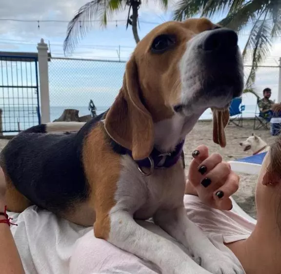 Retkeilymaja Casa Greca