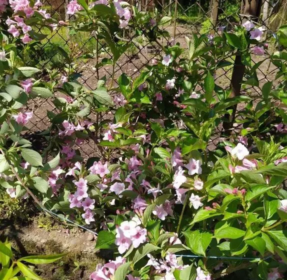 پانسیون Emzari's Apartment