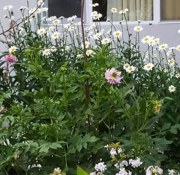 پانسیون Emzari's Apartment